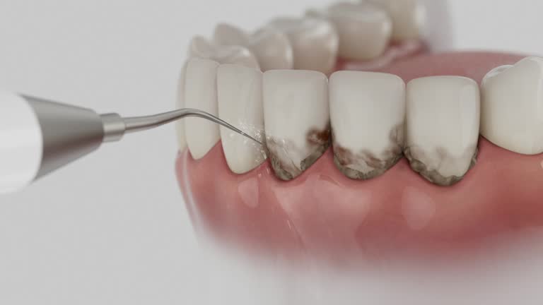 Reliable Dental contractor in Fort Carson, CO by Dentist Open Now